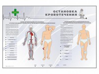 Электрифицированный стенд "Остановка кровотечения" - fgospostavki.ru - Нижний Тагил