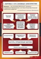 Комплект таблиц. ОБЖ. Здоровый образ жизни. - fgospostavki.ru - Нижний Тагил