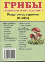 Раздаточные карточки "Грибы съедобные и не съедобные" - fgospostavki.ru - Нижний Тагил