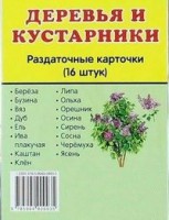 Раздаточные карточки "Деревья и кустарники" - fgospostavki.ru - Нижний Тагил