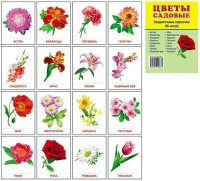 Раздаточные карточки "Цветы садовые" - fgospostavki.ru - Нижний Тагил