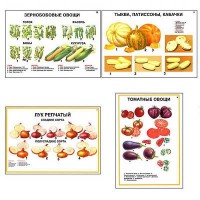 Плакаты ПРОФТЕХ "Ассортимент овощных культур" (12 пл, винил, 70х100) - fgospostavki.ru - Нижний Тагил
