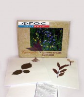 Гербарий "Дикорастущие растения" (28 видов) - fgospostavki.ru - Нижний Тагил