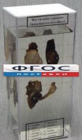 Влажный препарат "Внутреннее строение брюхоногого моллюска" - fgospostavki.ru - Нижний Тагил