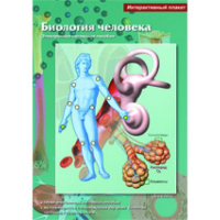 Интерактивные плакаты. Биология человека. Программно-методический комплекс - fgospostavki.ru - Нижний Тагил