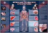 Электрифицированный стенд "Вредные привычки: алкоголизм" - fgospostavki.ru - Нижний Тагил