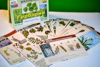 Гербарий к курсу основ общей биологии - fgospostavki.ru - Нижний Тагил
