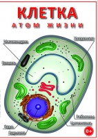DVD "Клетка - "атом жизни" - fgospostavki.ru - Нижний Тагил