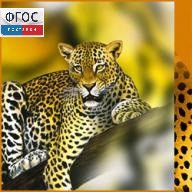 Зоология. (Цифровая база изображений) - fgospostavki.ru - Нижний Тагил