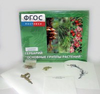 Гербарий "Основные группы растений" (52 листа) - fgospostavki.ru - Нижний Тагил