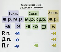 Набор магнитных карточек "Склонение имен существительных" - fgospostavki.ru - Нижний Тагил