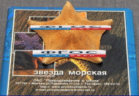Сухой препарат "Звезда морская" - fgospostavki.ru - Нижний Тагил