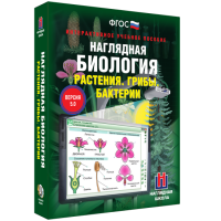 Наглядная биология. 6 класс. Растения. Грибы. Бактерии - fgospostavki.ru - Нижний Тагил