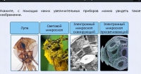 Интерактивные курсы. Биология 5 класс. Расширенный - fgospostavki.ru - Нижний Тагил