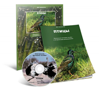 Электронное наглядное пособие «Птицы» - fgospostavki.ru - Нижний Тагил