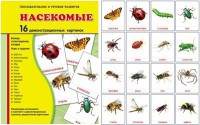 Демонстрационные карточки "Насекомые" - fgospostavki.ru - Нижний Тагил