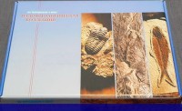 Коллекция "Палеонтологическая" (16 образцов) - fgospostavki.ru - Нижний Тагил