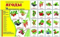 Демонстрационные карточки "Ягоды" - fgospostavki.ru - Нижний Тагил
