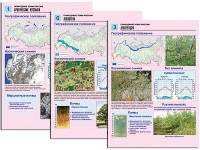Комплект таблиц по географии "Природные зоны России" раздаточные (цветные, ламинированные, А4, 10 штук) - fgospostavki.ru - Нижний Тагил