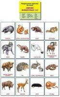 Раздаточные карточки "Дикие животные (1)" - fgospostavki.ru - Нижний Тагил