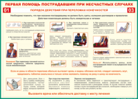 Таблица "Порядок действий при переломах конечностей" (100х140 сантиметров, винил) - fgospostavki.ru - Нижний Тагил