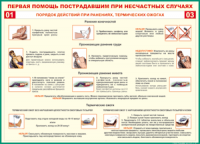 Таблица "Порядок действий при ранениях и термических ожогах" (100х140 сантиметров, винил) - fgospostavki.ru - Нижний Тагил