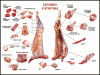 Таблица "Правила разделки мясных туш. Баранина и ягнятина" (100х140 сантиметров, винил) - fgospostavki.ru - Нижний Тагил