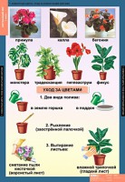 Комплект таблиц. Окружающий мир 1 класс. - fgospostavki.ru - Нижний Тагил
