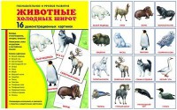 Демонстрационные карточки "Животные холодных широт" - fgospostavki.ru - Нижний Тагил