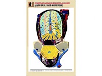Рельефная таблица "Долька печени. Макро-микростроение" (формат А1, матовое ламинирование) - fgospostavki.ru - Нижний Тагил