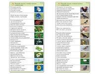 Комплект карточек (10) "Обучающий калейдоскоп. Природа" - fgospostavki.ru - Нижний Тагил