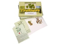 Гербарий "Для начальной школы" (30 видов, с иллюстрациями) - fgospostavki.ru - Нижний Тагил