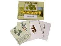 Гербарий "Деревья и кустарники" (22 вида, с иллюстрациями) - fgospostavki.ru - Нижний Тагил