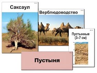Модель-аппликация "Природные зоны России" (ламинированная) - fgospostavki.ru - Нижний Тагил