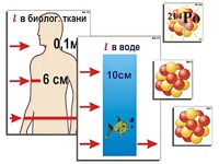 Модель-аппликация "Явление радиоактивности" (ламинированная) - fgospostavki.ru - Нижний Тагил