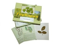 Гербарий "Дикорастущие растения" (30 видов, с иллюстрациями) - fgospostavki.ru - Нижний Тагил