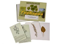 Гербарий "Лекарственные растения" (22 вида с иллюстрациями) - fgospostavki.ru - Нижний Тагил