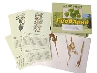 Гербарий "Систематика растений. Семейство Бобовые. Злаки" (раздаточный) - fgospostavki.ru - Нижний Тагил