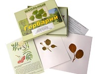 Гербарий "Систематика растений. Семейство Розоцветные" (раздаточный) - fgospostavki.ru - Нижний Тагил