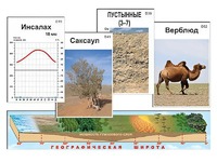 Модель-аппликация "Природные зоны" - fgospostavki.ru - Нижний Тагил