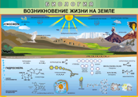 Таблица "Возникновение жизни на земле" (100х140 сантиметров, винил) - fgospostavki.ru - Нижний Тагил