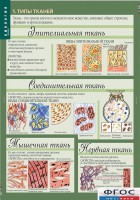 Комплект таблиц. Биология 8-9 класс. Человек. - fgospostavki.ru - Нижний Тагил