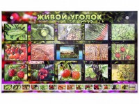 Комплект оборудования "Живой уголок" (растения) с тифлопереводом и сурдокомментариями - fgospostavki.ru - Нижний Тагил
