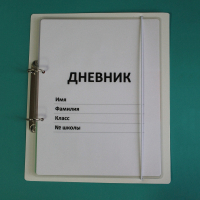 Дневник школьника (с полным набором карточек) - fgospostavki.ru - Нижний Тагил