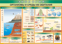 Таблица "Организмы и среды их обитания" (100х140 сантиметров, винил) - fgospostavki.ru - Нижний Тагил