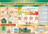 Таблица "Организация и функционирование сообществ" (100х140 сантиметров, винил) - fgospostavki.ru - Нижний Тагил