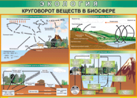 Таблица "Круговорот веществ в биосфере" (100х140 сантиметров, винил) - fgospostavki.ru - Нижний Тагил