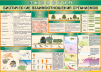 Таблица "Биотические взаимоотношения организмов" (100х140 сантиметров, винил) - fgospostavki.ru - Нижний Тагил