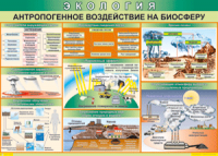 Таблица "Антропогенное воздействие на биосферу" (100х140 сантиметров, винил) - fgospostavki.ru - Нижний Тагил
