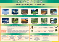 Таблица "Экология. Обобщающие таблицы" (100х140 сантиметров, винил) - fgospostavki.ru - Нижний Тагил